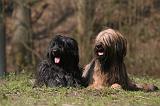 BRIARD 071